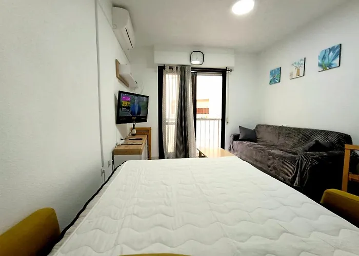 Estudio Gato Del Mar